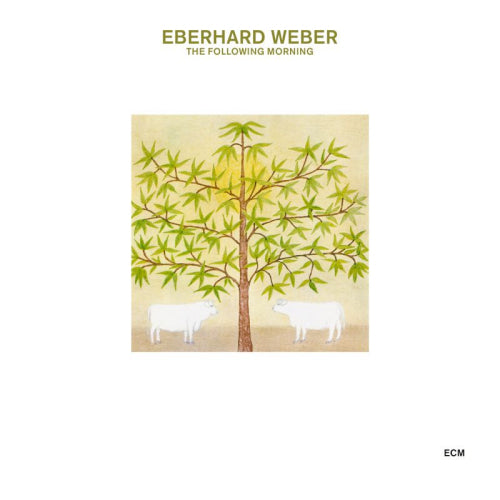 Eberhard Weber - Following morning (CD) - Discords.nl