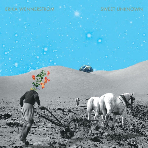 Erika Wennerstrom - Sweet unknown (LP) - Discords.nl