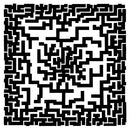 Phillip Werren - Electronic music (LP) - Discords.nl