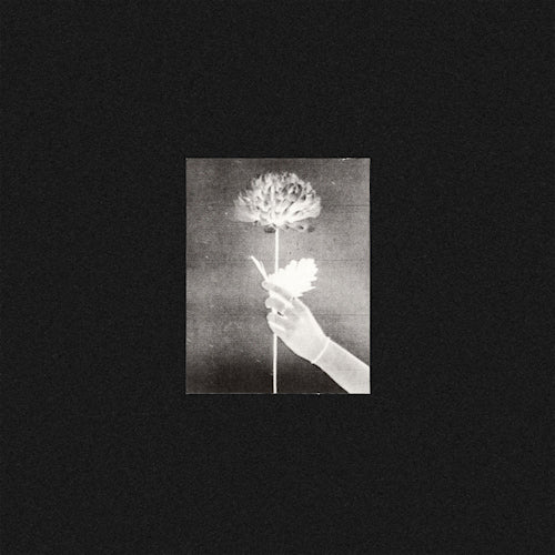 White Flowers - Day by day (LP) - Discords.nl