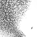 Wilco - Sky blue sky (LP) - Discords.nl