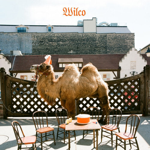 Wilco - Wilco (the album) (LP) - Discords.nl