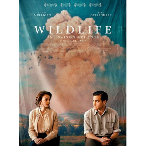 Movie - Wildlife (DVD Music)