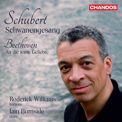 Roderick Williams /iain Burnside - Schubert: schwanengesang (CD) - Discords.nl