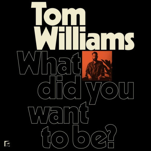 Tom Williams - What did you want to be? (CD) - Discords.nl