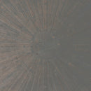 William Basinski & Lawrence English - Selva obscura (LP) - Discords.nl