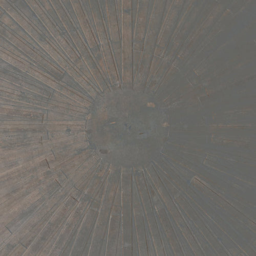 William Basinski & Lawrence English - Selva obscura (LP) - Discords.nl