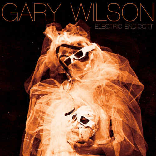 Gary Wilson - Electric endicott (CD) - Discords.nl