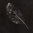 Alela Diane - The Pirate's Gospel (CD Tweedehands) - Discords.nl