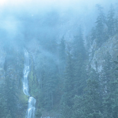 Wolves In The Throne Room - Diadem of 12 stars (CD) - Discords.nl