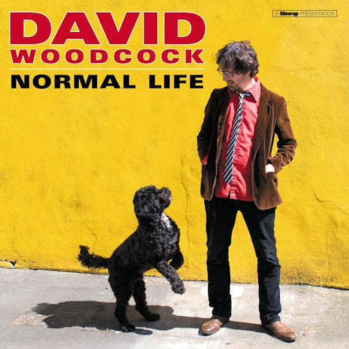 David Woodcock - Normal life (LP) - Discords.nl