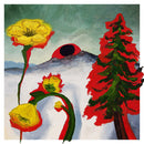 Woods - Strange to explain (LP) - Discords.nl