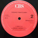 Terence Trent D'Arby - Sign Your Name (Lee 'Scratch' Perry Remixes) (12" Tweedehands)