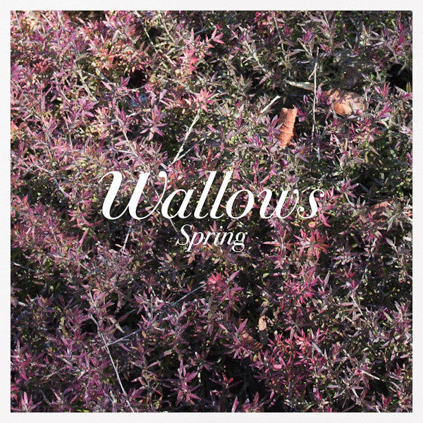 Wallows - Spring (LP) - Discords.nl