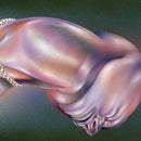 Walt Disco - The warping (LP) - Discords.nl