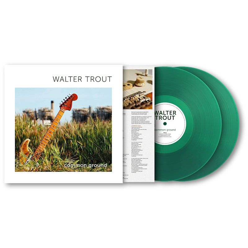 Walter Trout - Common ground (LP) - Discords.nl