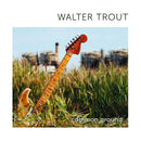 Walter Trout - Common ground (LP) - Discords.nl