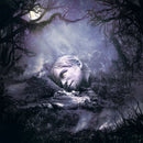 Weezer - SZNZ: autumn (LP) - Discords.nl