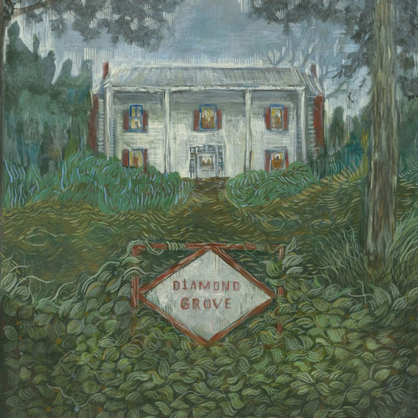 Weirs - Diamond grove (CD)