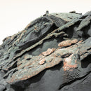 Whispering Sons - 7-surface (12-inch) - Discords.nl