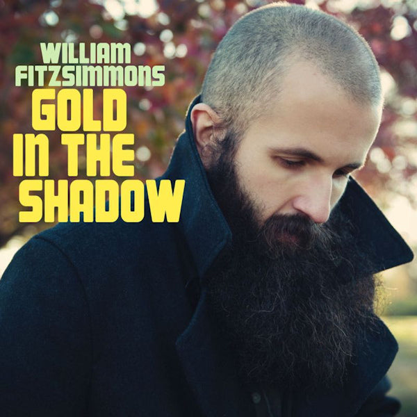 William Fitzsimmons - Gold in the shadow (LP) - Discords.nl