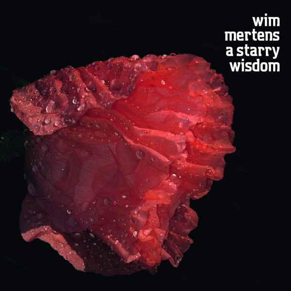 Wim Mertens - A starry wisdom (CD) - Discords.nl