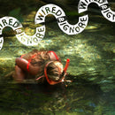Wired To Ignore - Wired to ignore (LP)