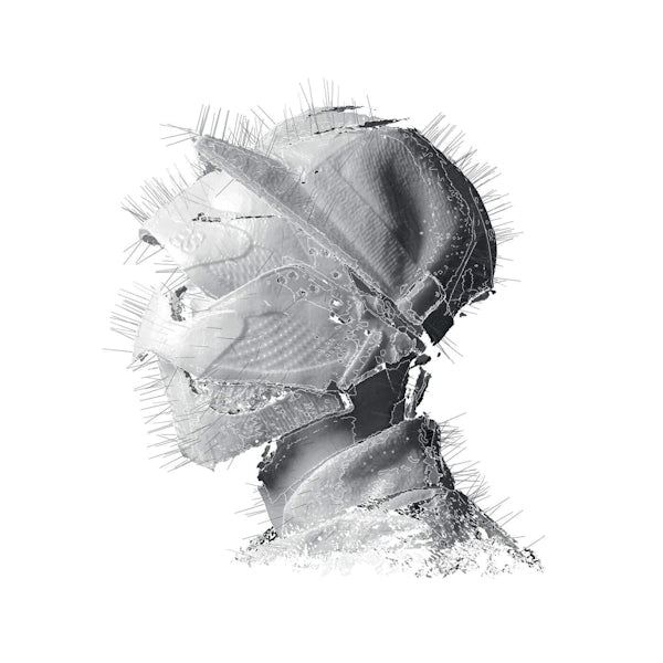 Woodkid - Golden age (CD)