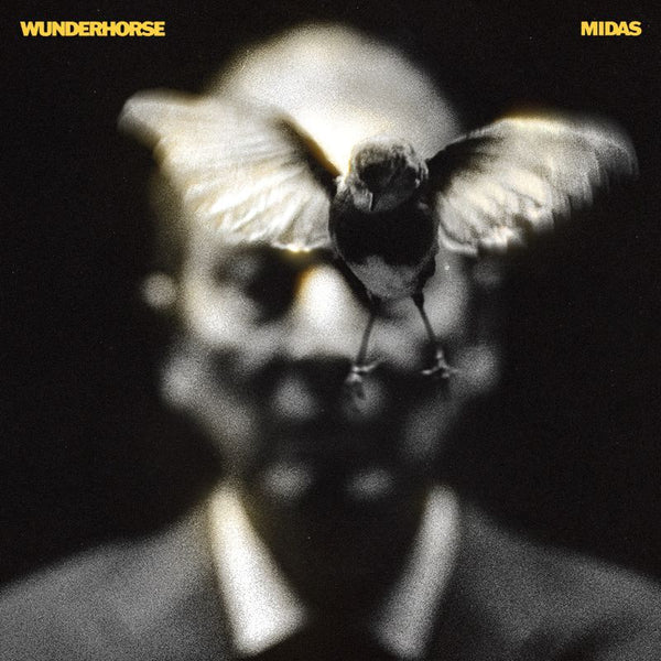 Wunderhorse - Midas (LP) - Discords.nl