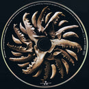 Soulfly - Savages (CD) - Discords.nl