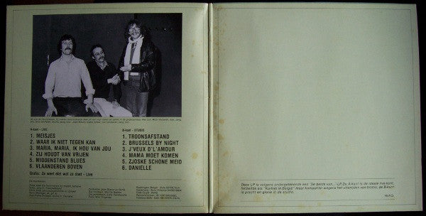 Raymond Van Het Groenewoud - Leven En Liefdes (LP Tweedehands)