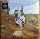 English Teacher - This Could Be Texas (LP) - Discords.nl