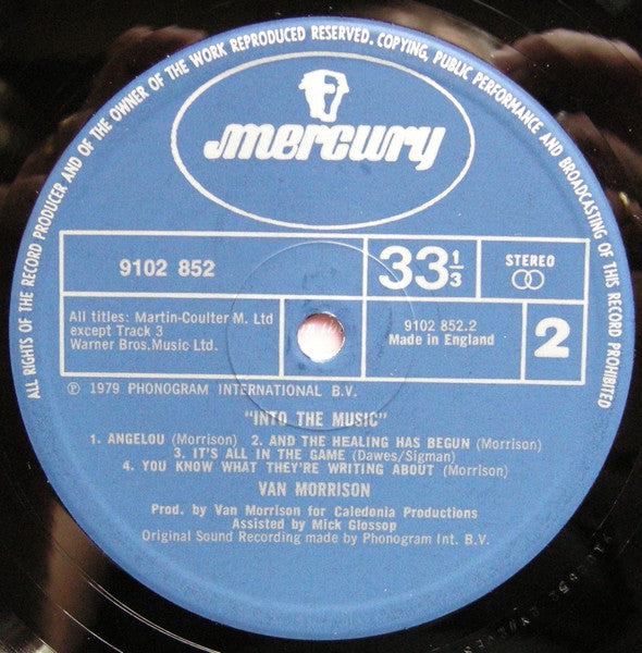 Van Morrison - Into The Music (LP Tweedehands)