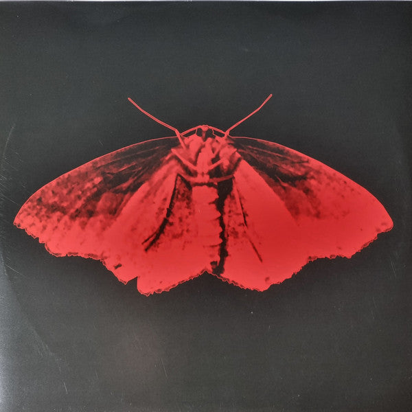 Mother Mother - Inside (LP)