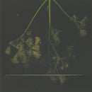 Scott Matthew - Scott Matthew (CD Tweedehands) - Discords.nl