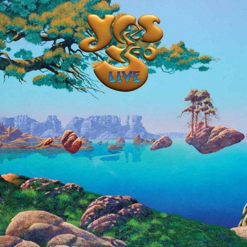 Yes - Yes 50 live (LP) - Discords.nl