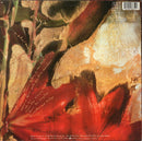 Enya - Watermark (LP Tweedehands)