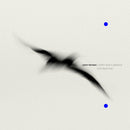Yann Tiersen - Rathlin from a distance / the liqui (LP)