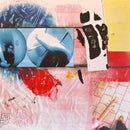 They Are Gutting A Body Of Water / A Country Western - An Insult To The Sport (LP) - Discords.nl