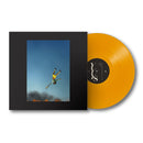 Yeah Yeah Yeahs - Cool it down (LP) - Discords.nl