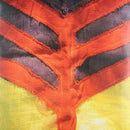 Yeah Yeah Yeahs - Show your bone (CD) - Discords.nl