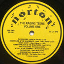 Various - The Raging Teens Volume 1 (LP Tweedehands) - Discords.nl