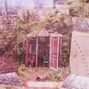 Marcus King Band, The - Carolina Confessions (LP) - Discords.nl