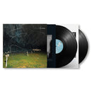 Yo La Tengo - This stupid world (LP) - Discords.nl