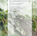 Blackmore's Night - Beyond The Sunset - The Romantic Collection (CD) - Discords.nl