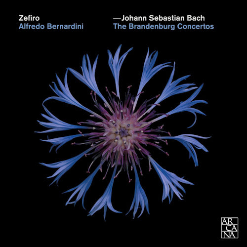 Johann Sebastian Bach - Brandenburg concertos (CD) - Discords.nl
