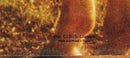 Love & Kisses - How Much, How Much I Love You (LP Tweedehands)