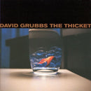 David Grubbs - The Thicket (CD Tweedehands) - Discords.nl