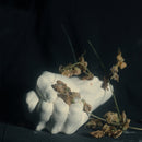 Pain Magazine - Violent god (LP) - Discords.nl