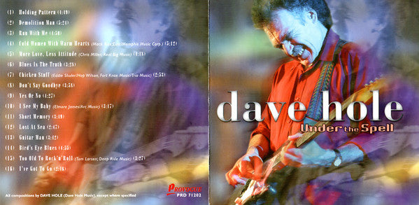 Dave Hole - Under The Spell (CD Tweedehands)